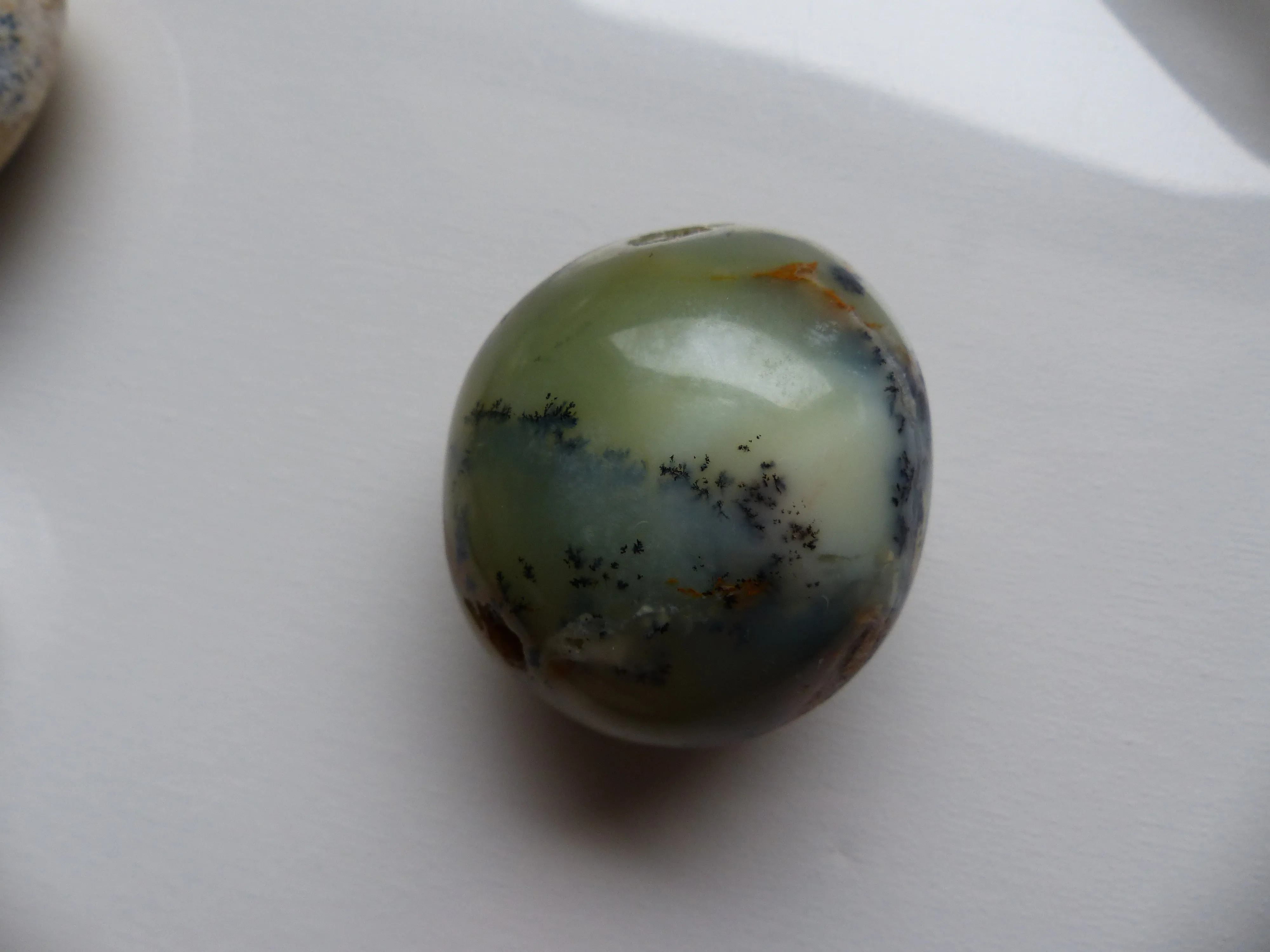 Dendritic Opal Palm Stone (#2)
