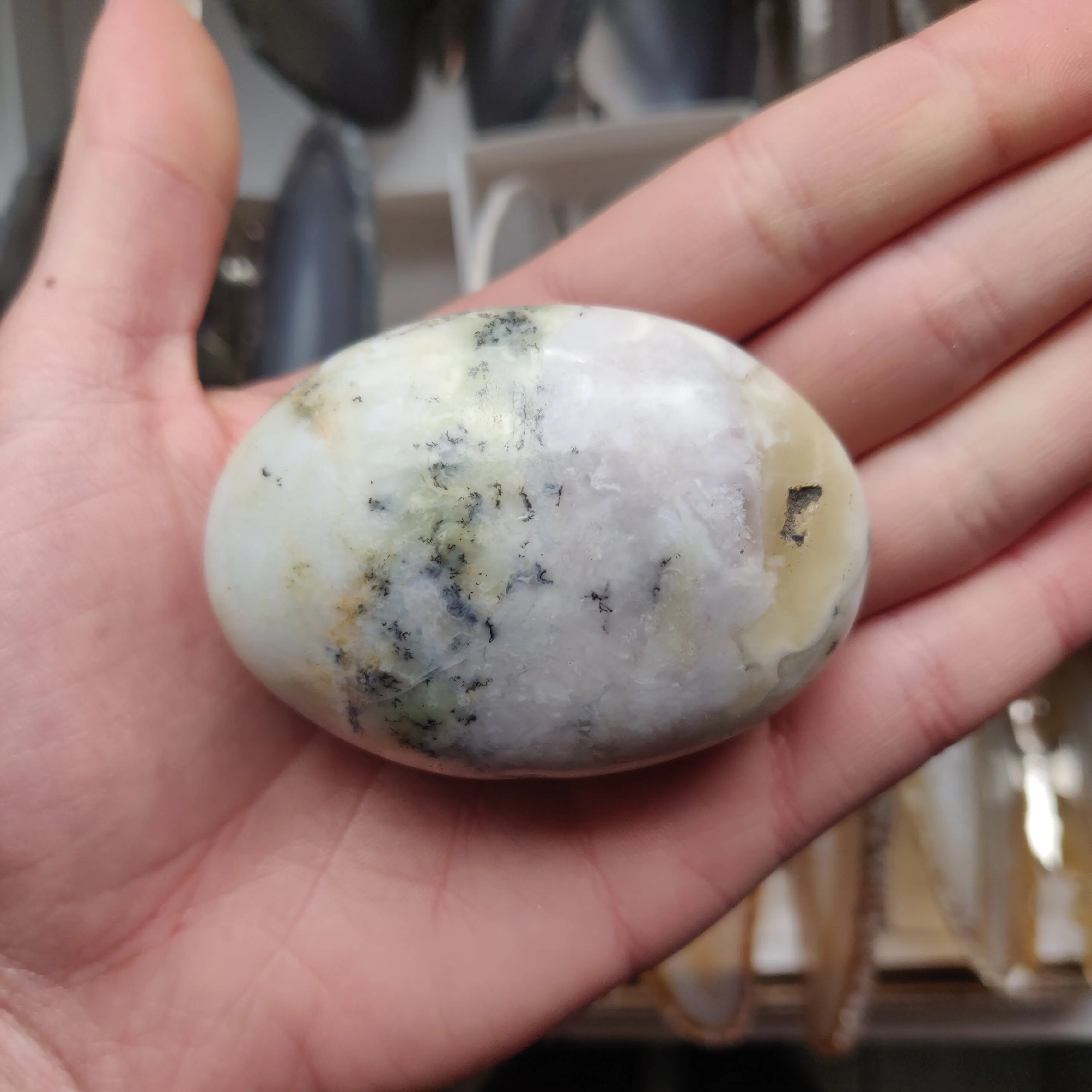 Dendritic Opal Palm Stone (#31)