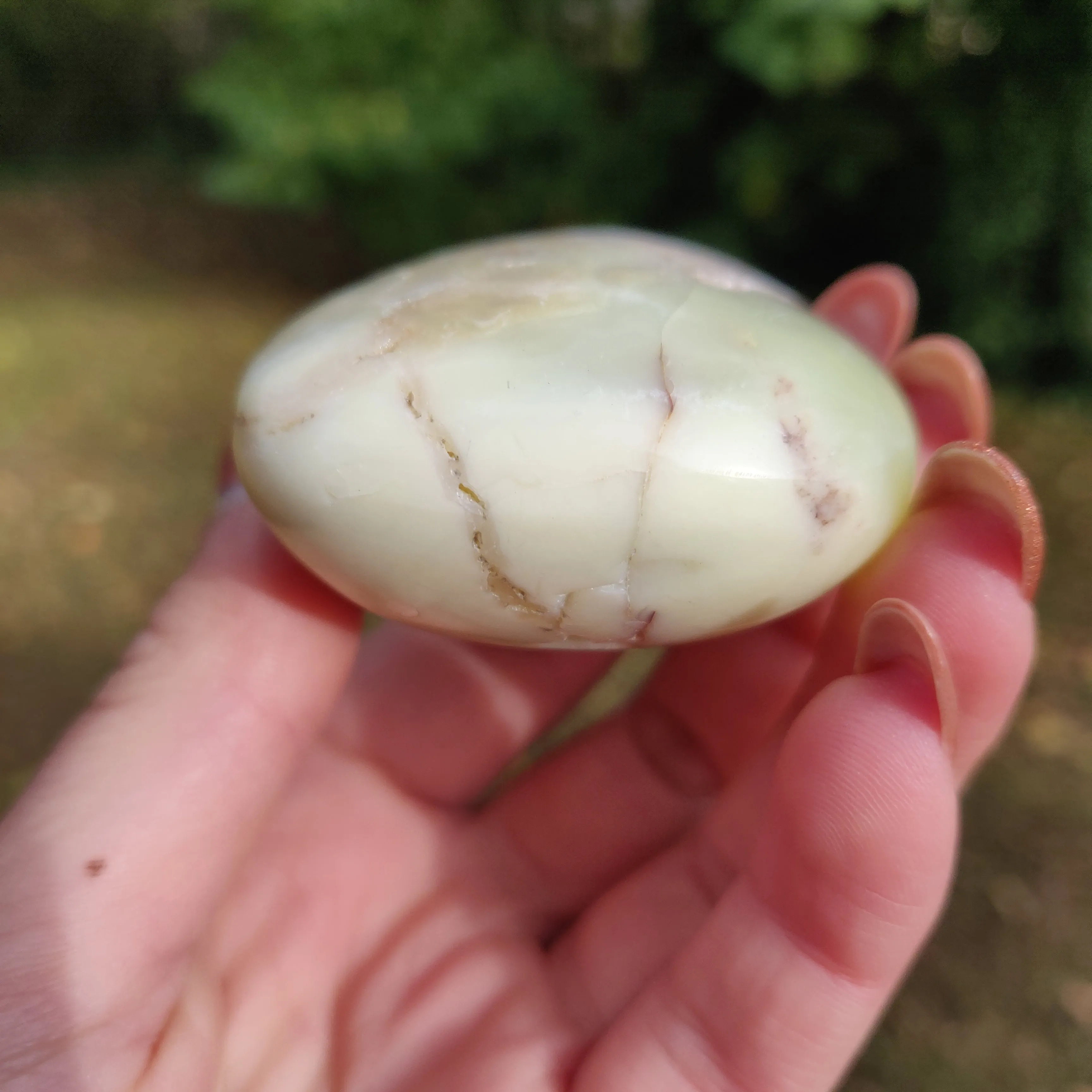Green Opal Palm Stone (#10)