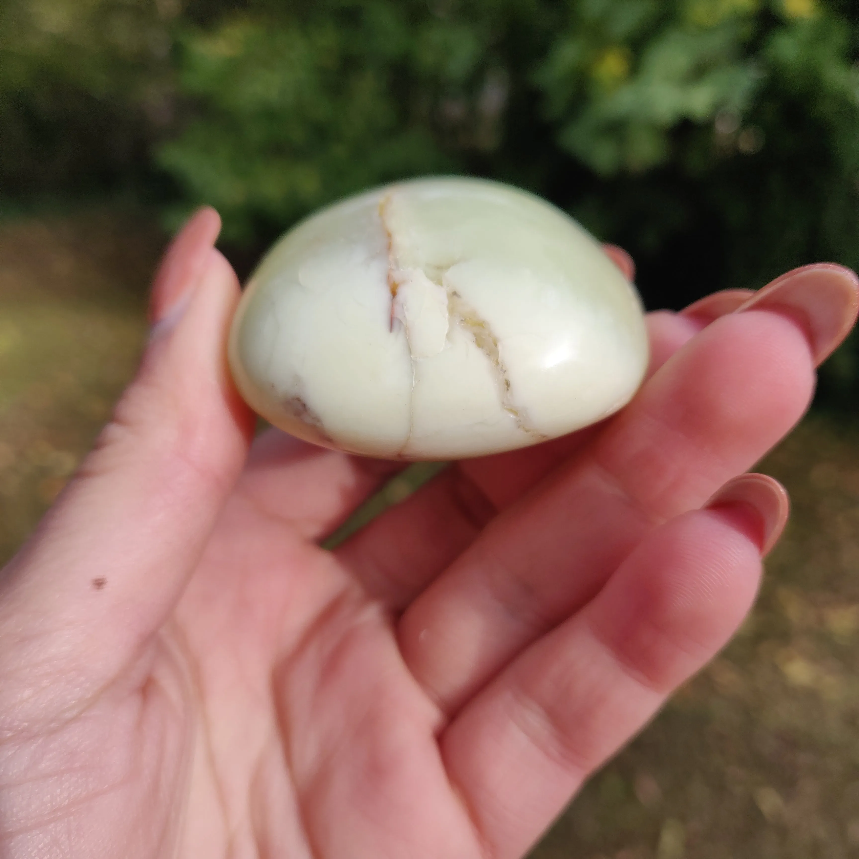 Green Opal Palm Stone (#10)