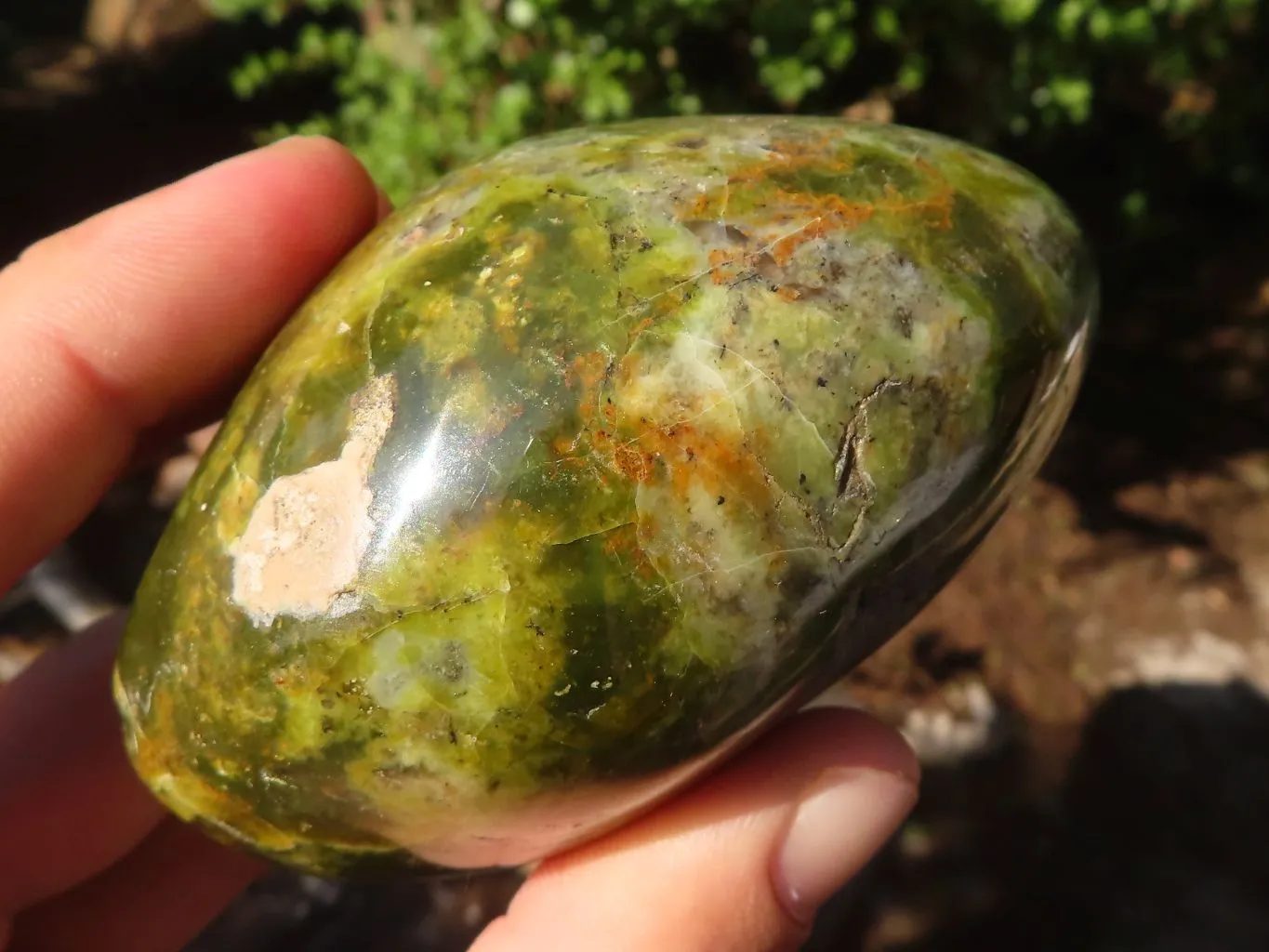 Polished Green Opal Standing Free Forms  x 3 From Antsirabe, Madagascar