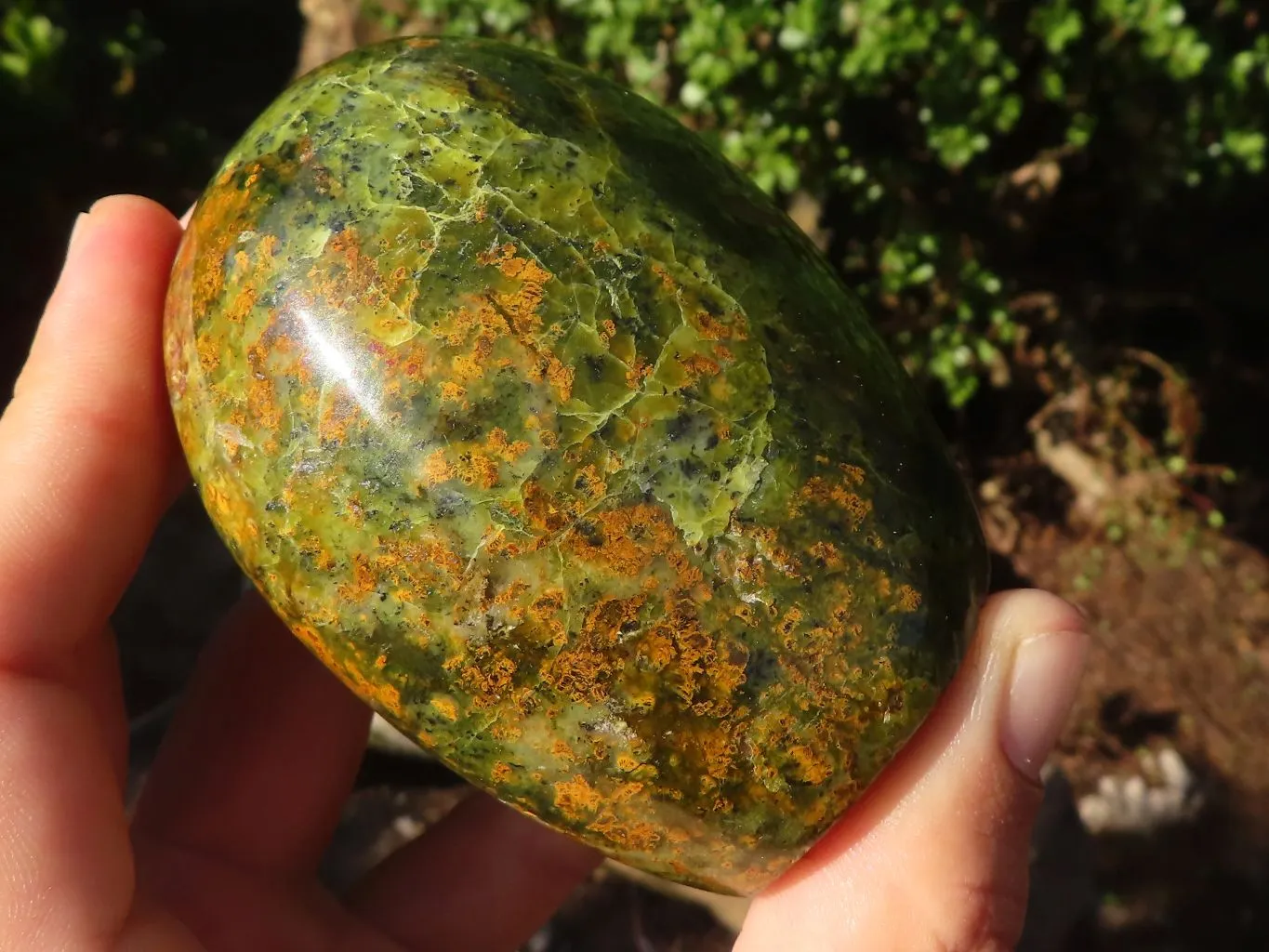 Polished Green Opal Standing Free Forms  x 3 From Antsirabe, Madagascar