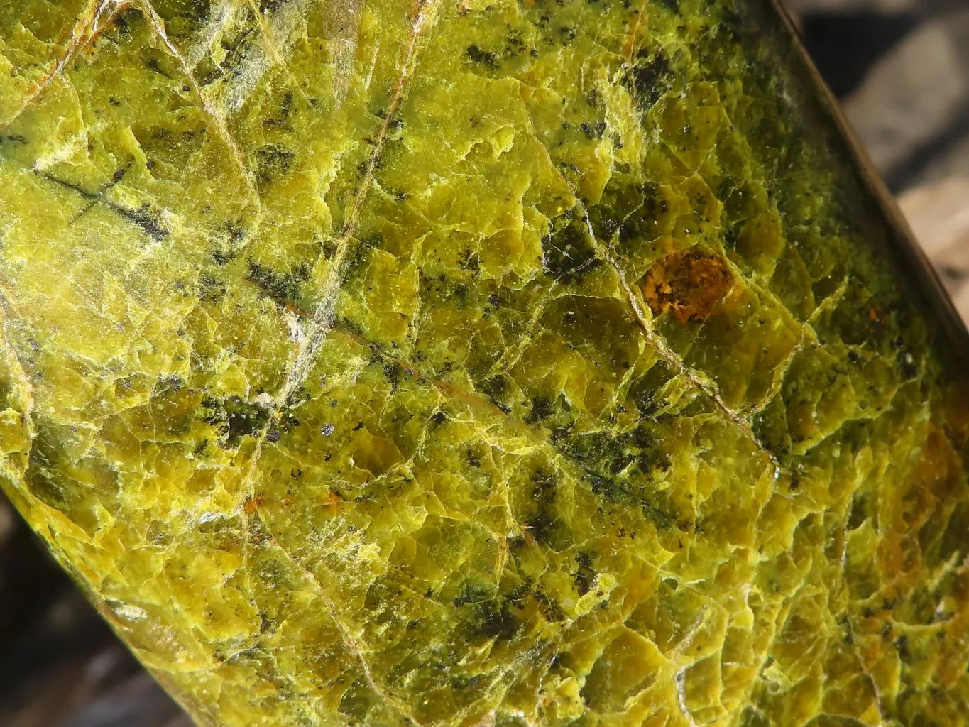 Polished Green Opal Standing Free Forms  x 3 From Antsirabe, Madagascar