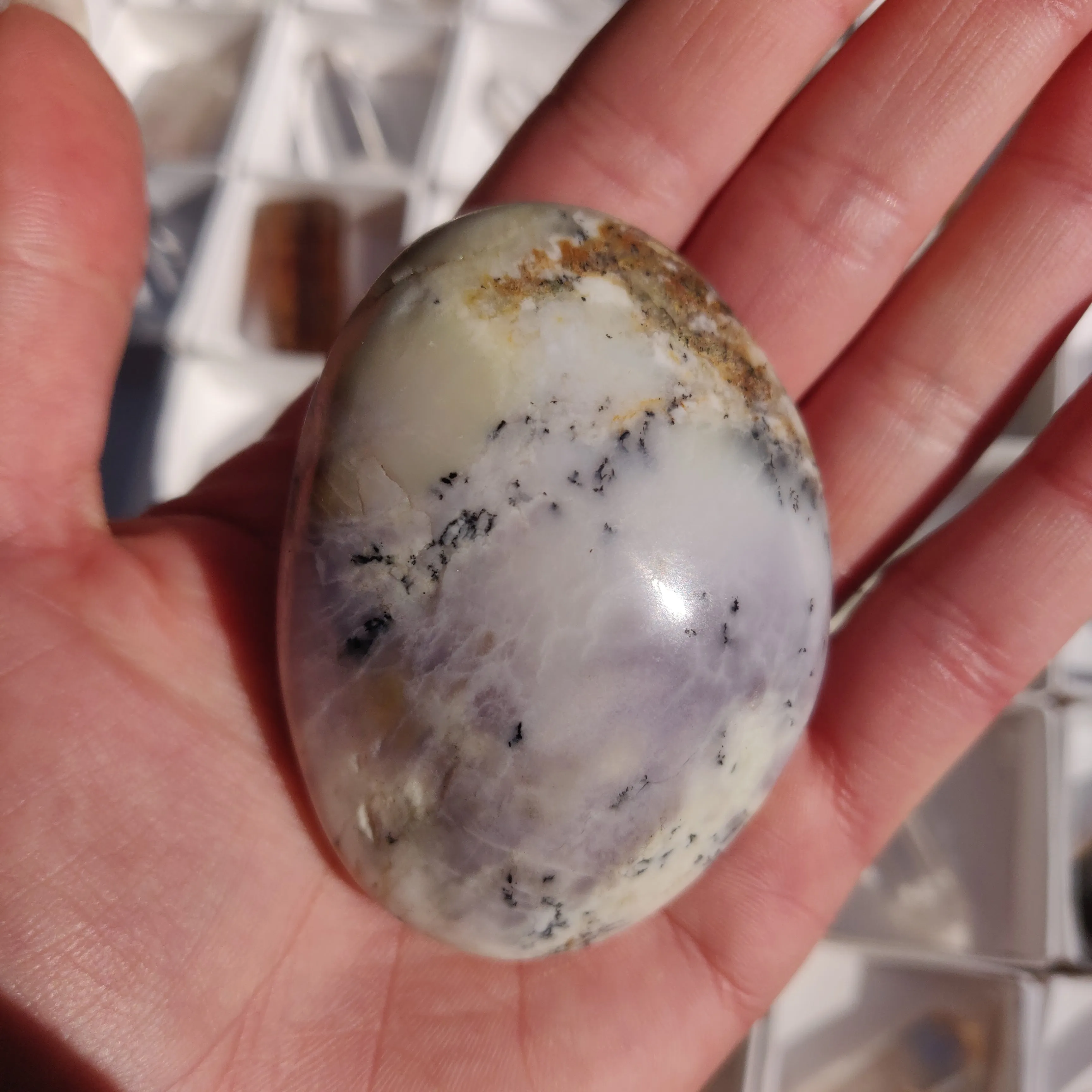 Purple Dendritic Opal Palm Stone (#44)