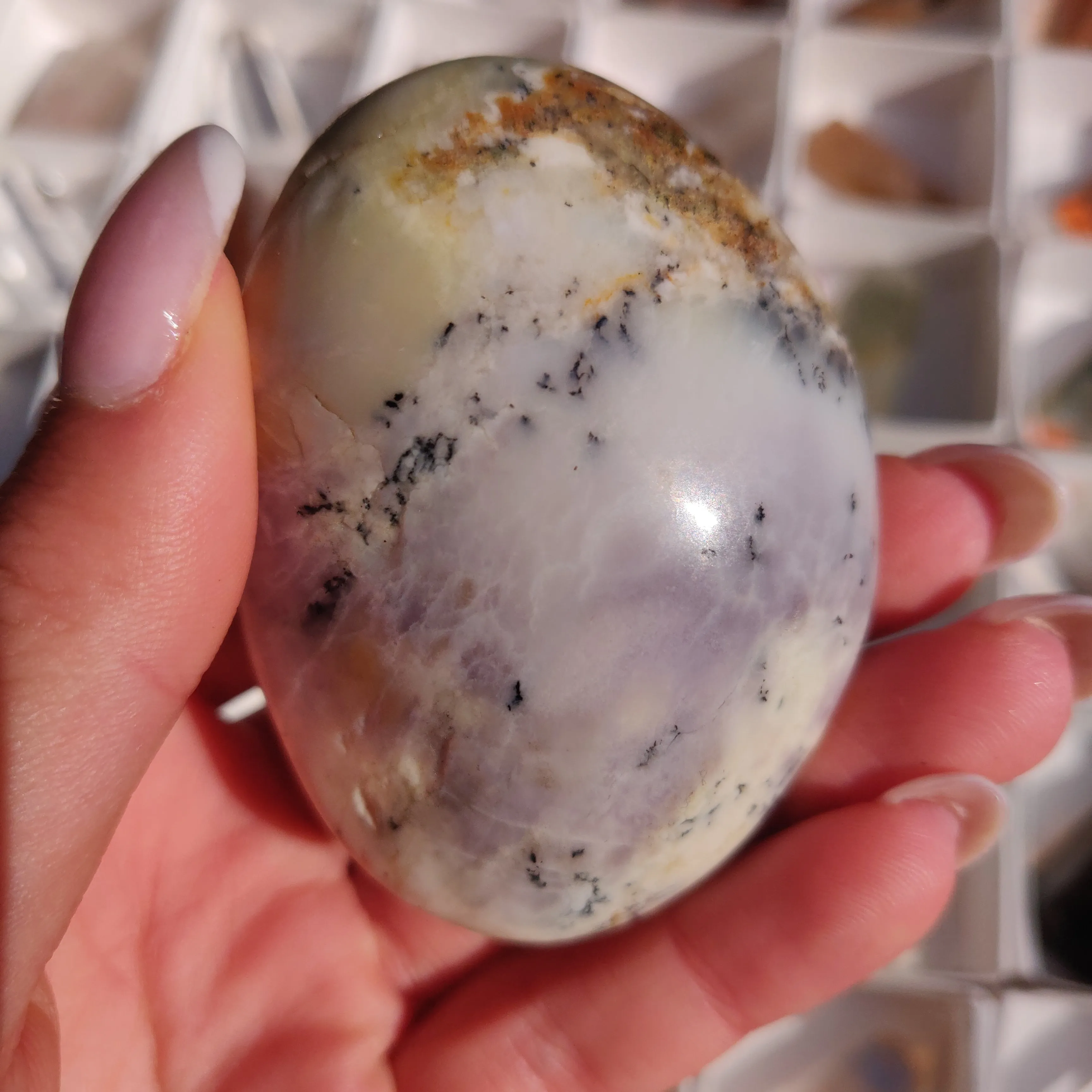 Purple Dendritic Opal Palm Stone (#44)